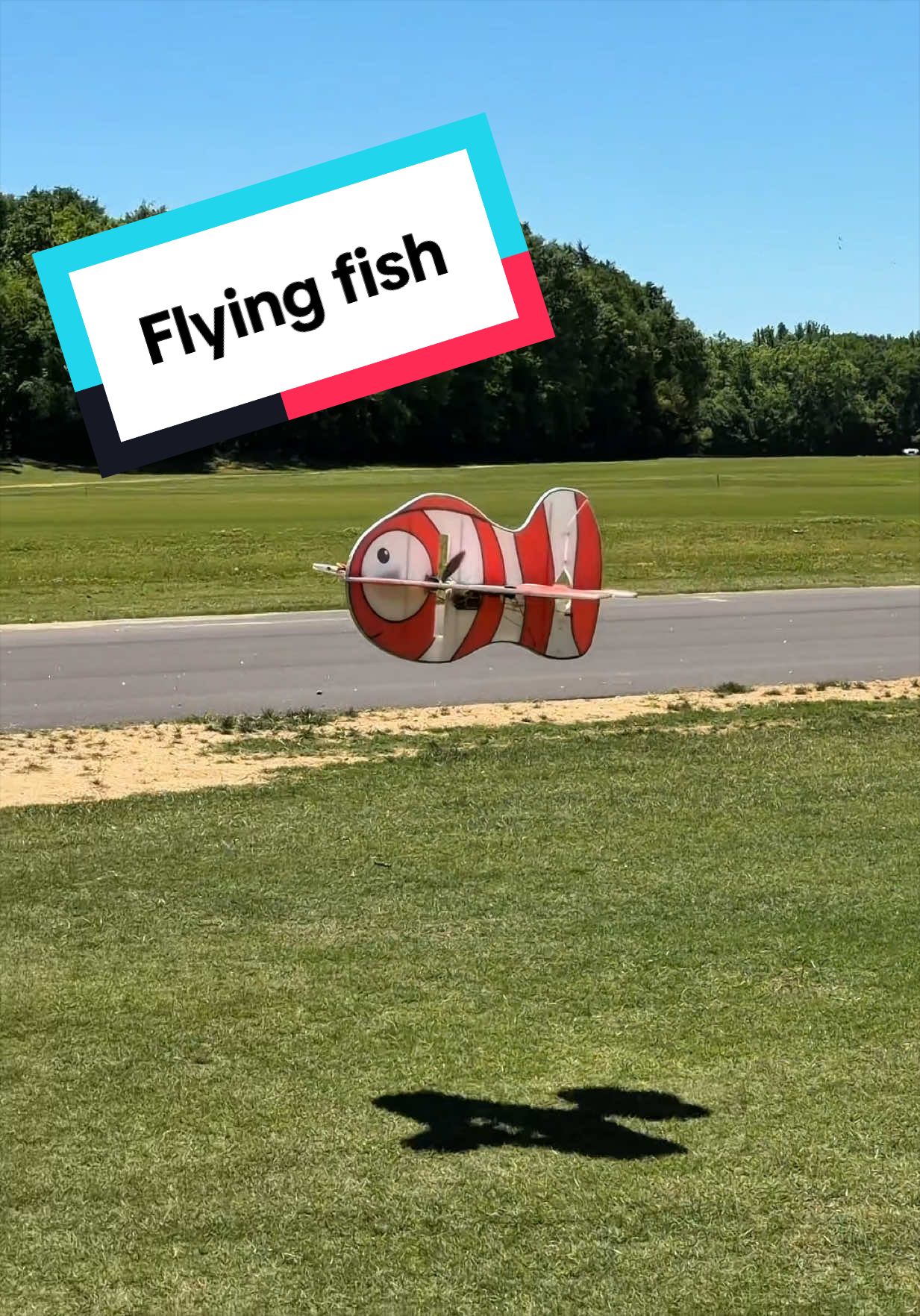 @Horizon Hobby