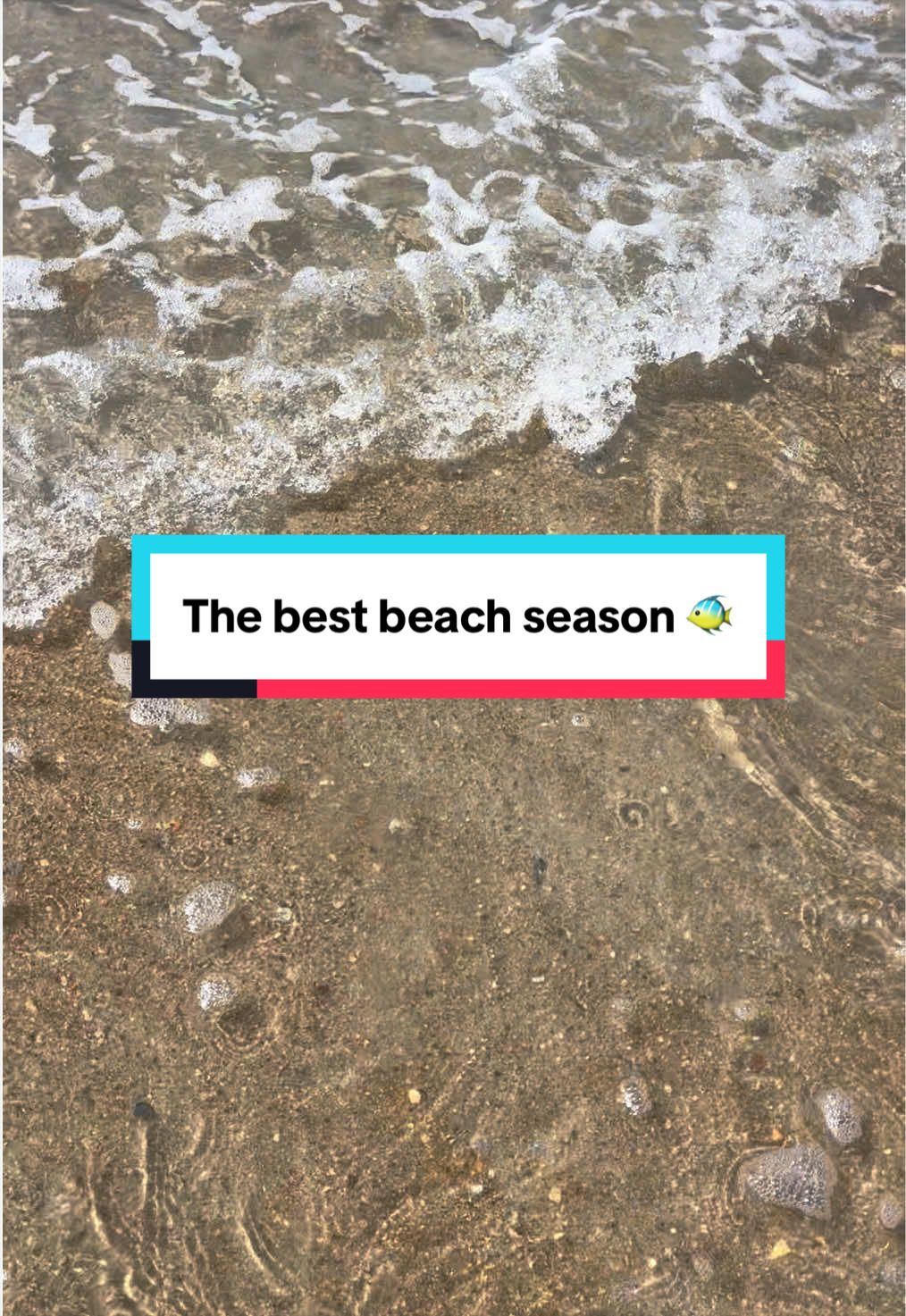@Leaf & Tide | NC Coastal Gems