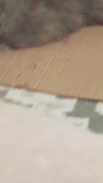 @KumaDGenerant