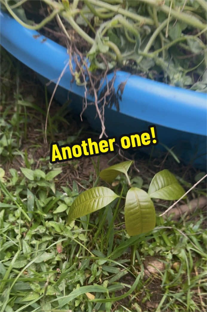 @Gardening4ME