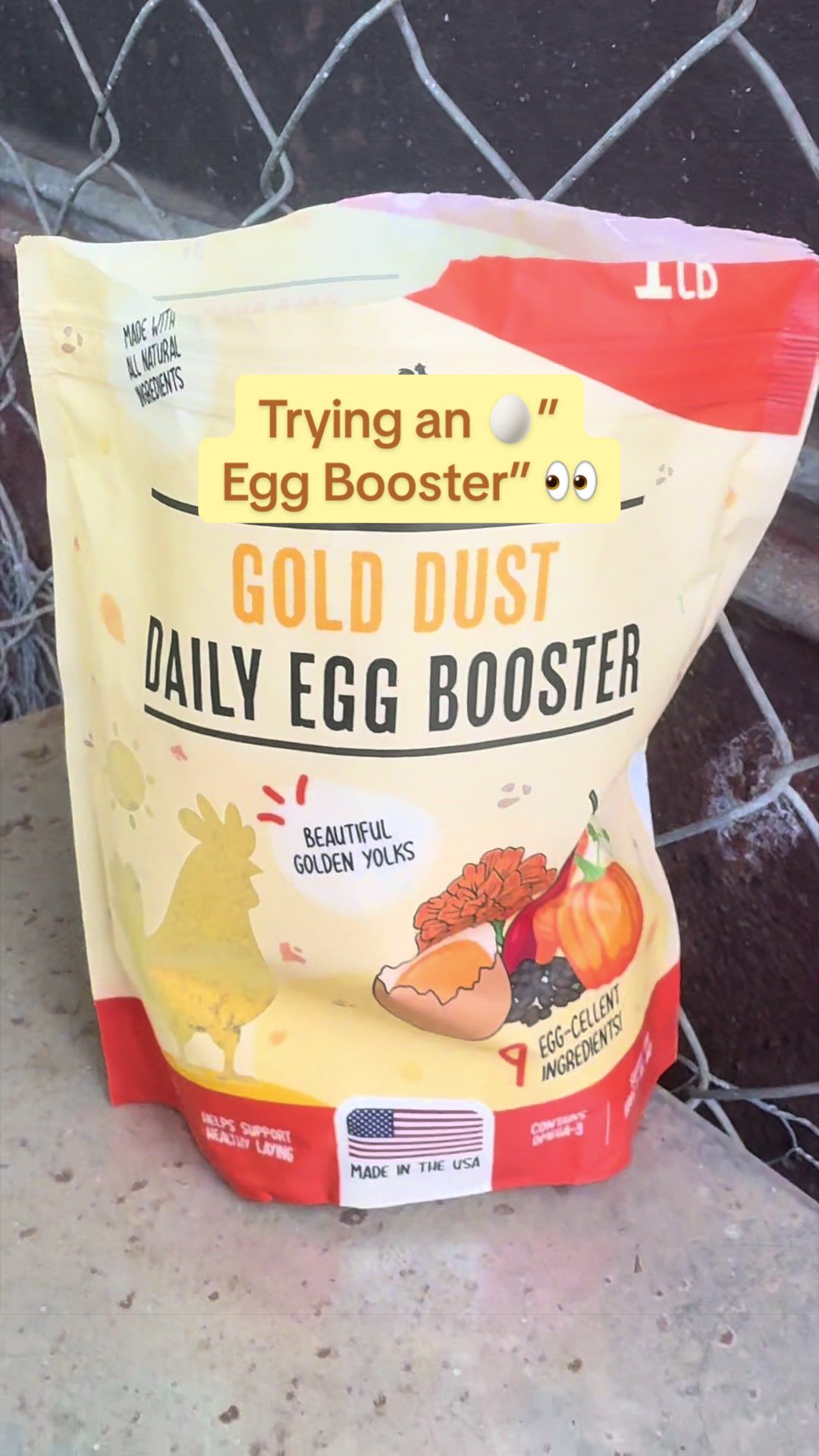@Amy Jo | Eggnigma Holler 🐔
