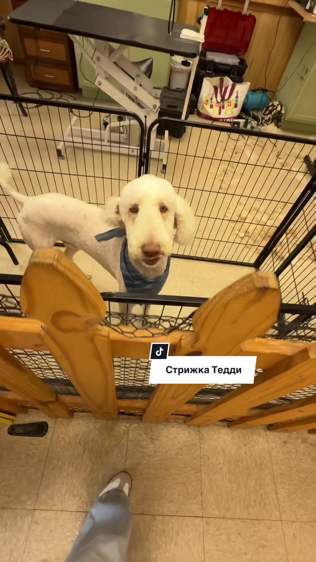 @Инна | Беркут
