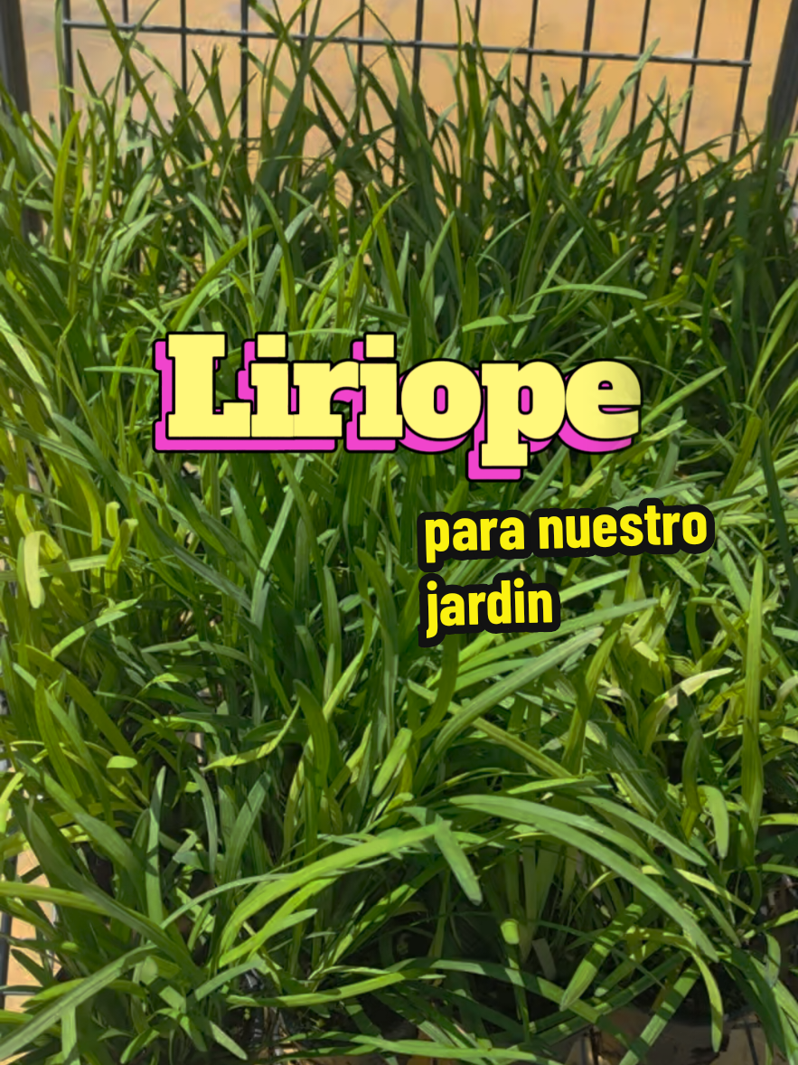 @Mi Rincón Favorito