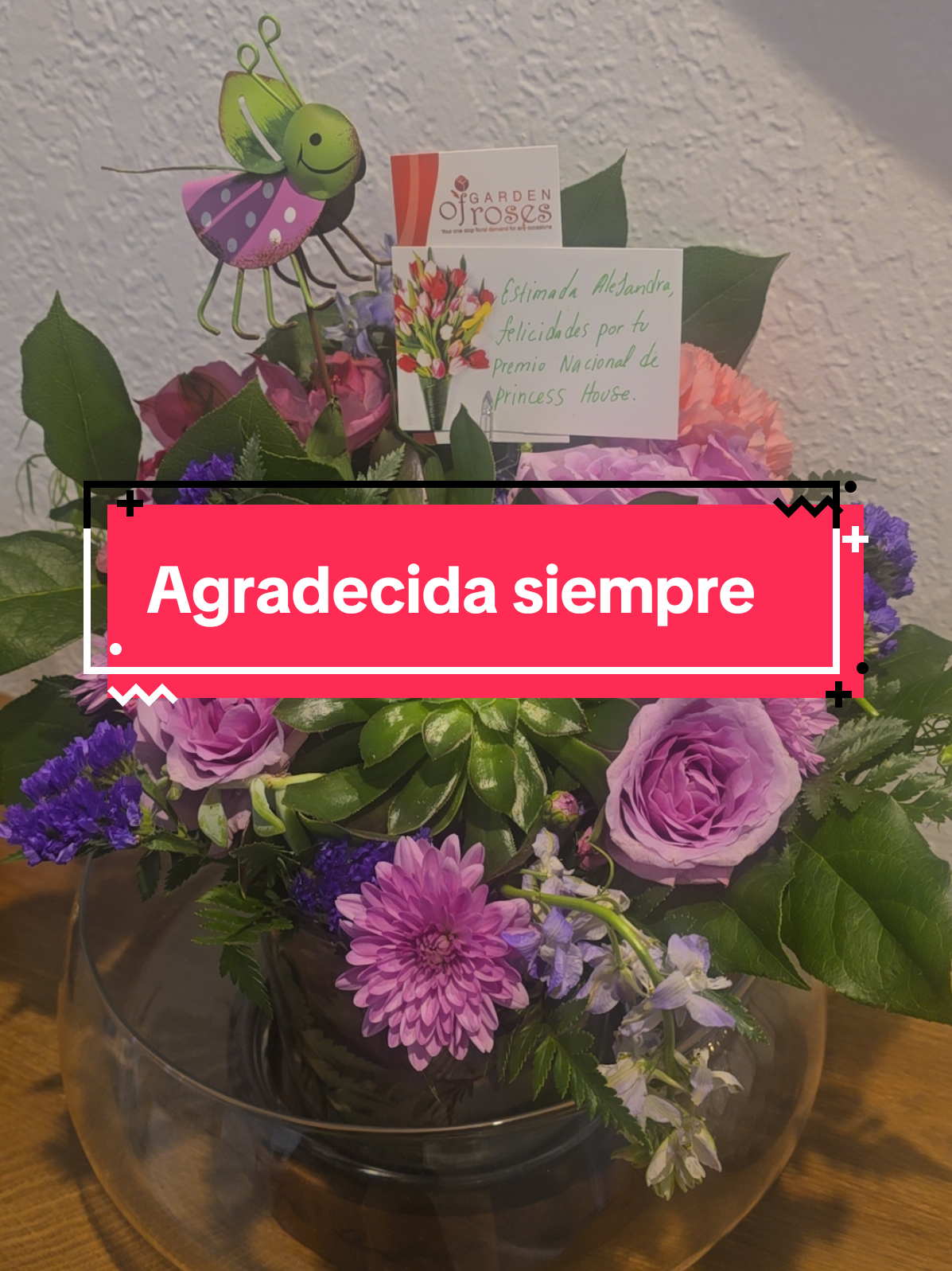 @Alejandra Valdez