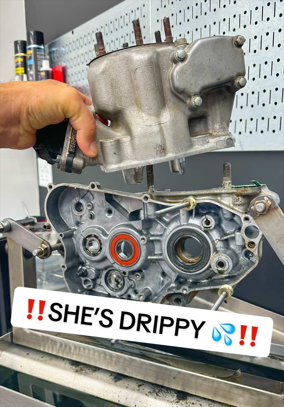 @mXrevival