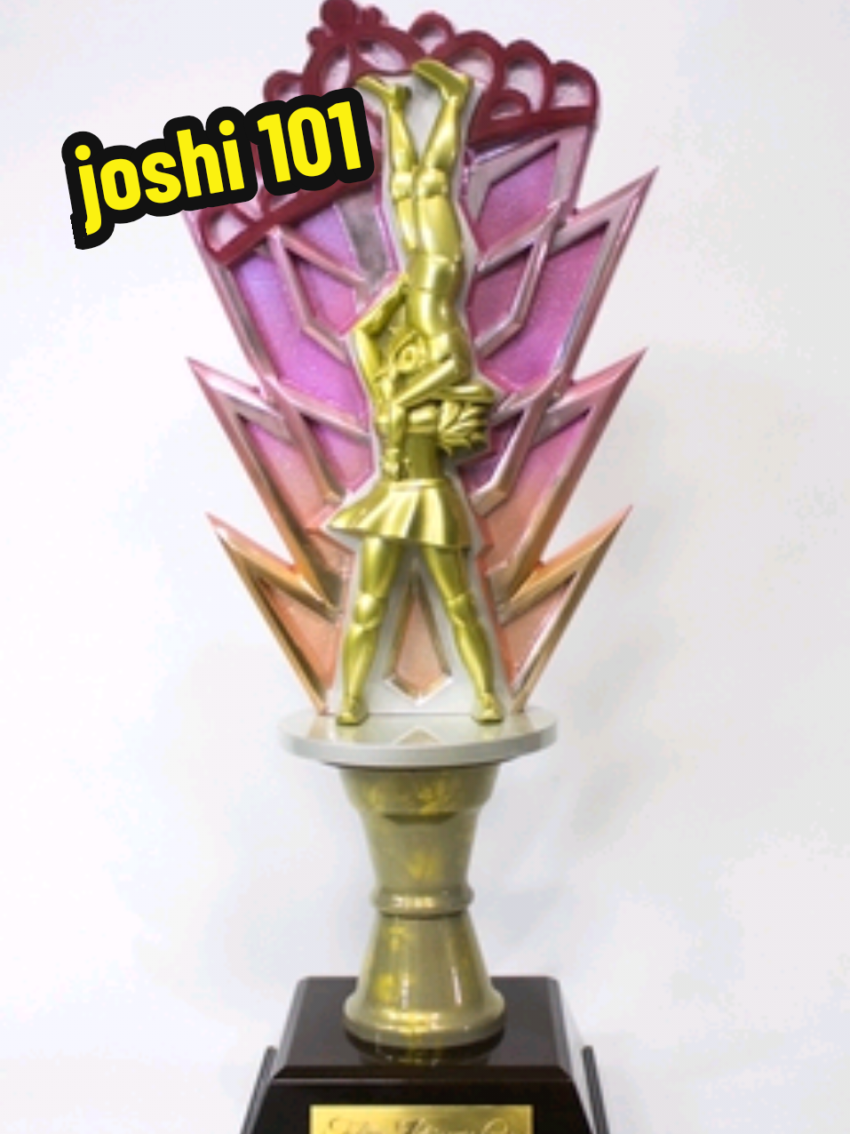 @Queenslariat joshi