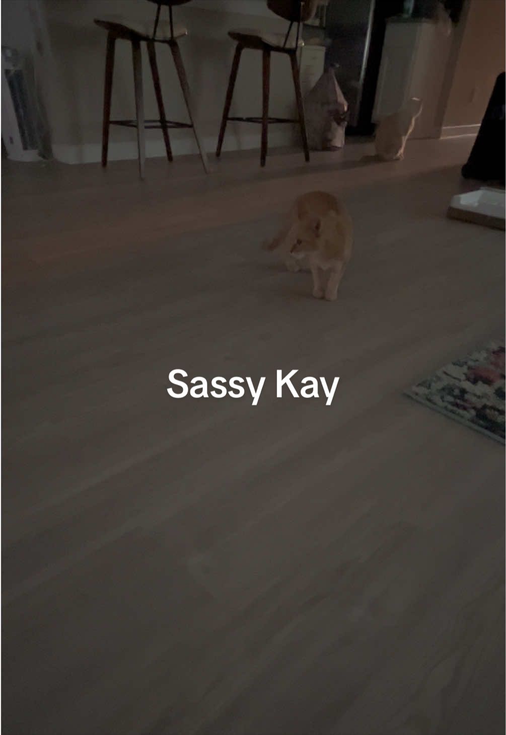 @Kay