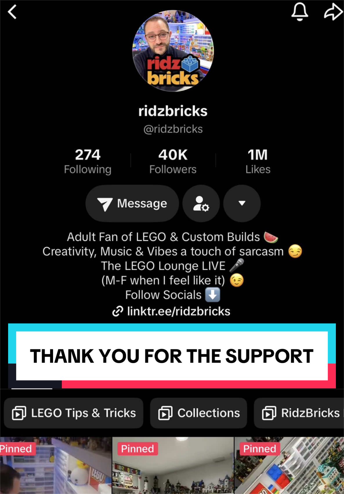 @ridzbricks