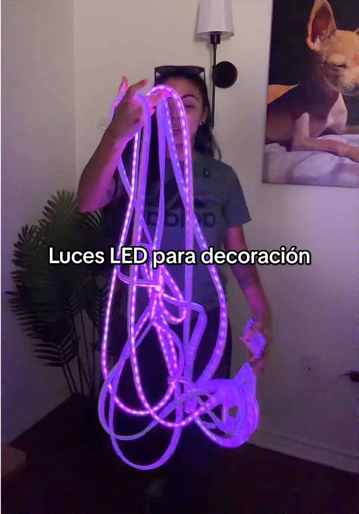 @DulceVause