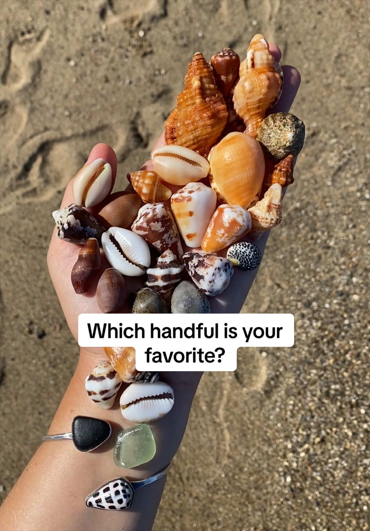 @🐚Jojo🌴