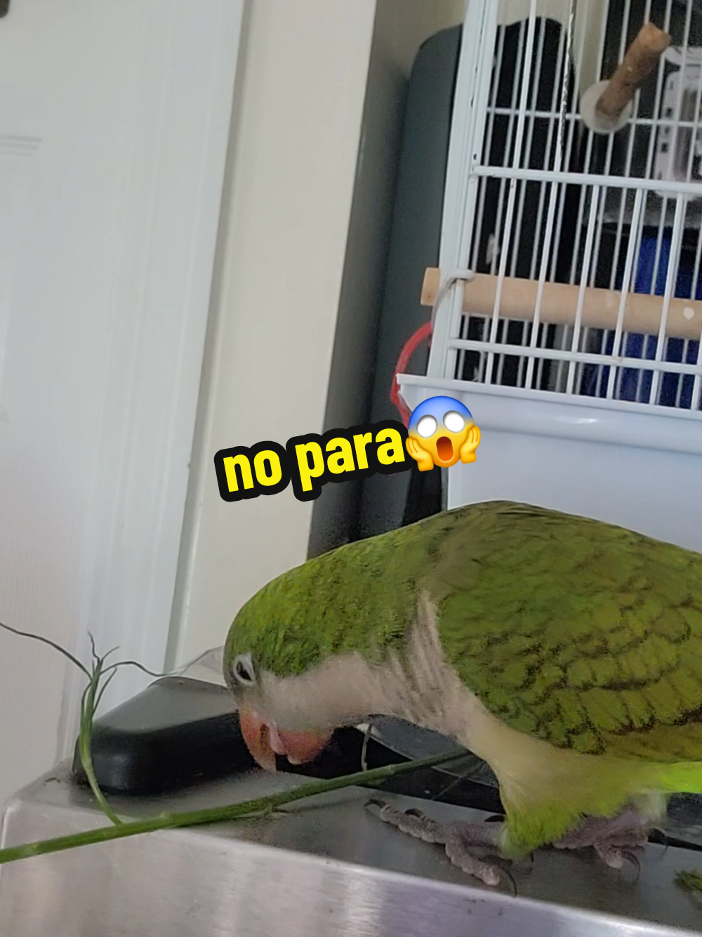 @Nico