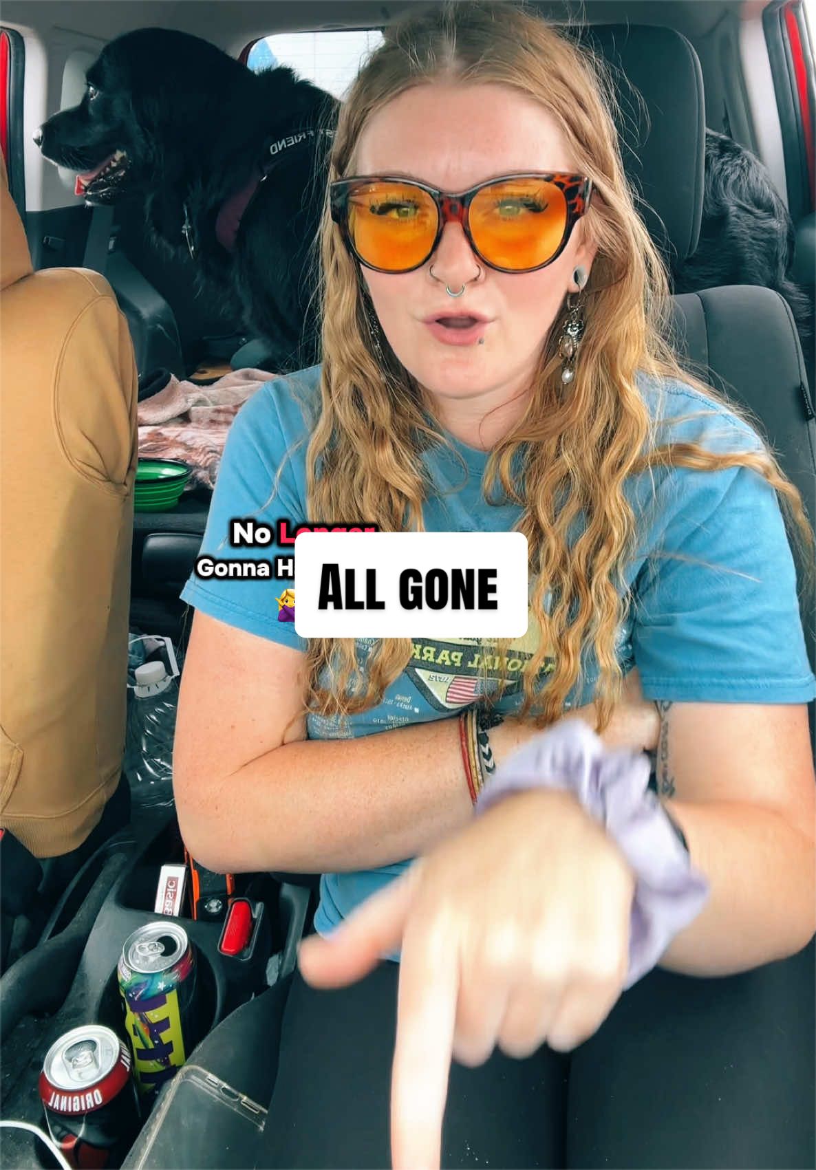 @Taylor Rayne |🚌|Digital Nomad