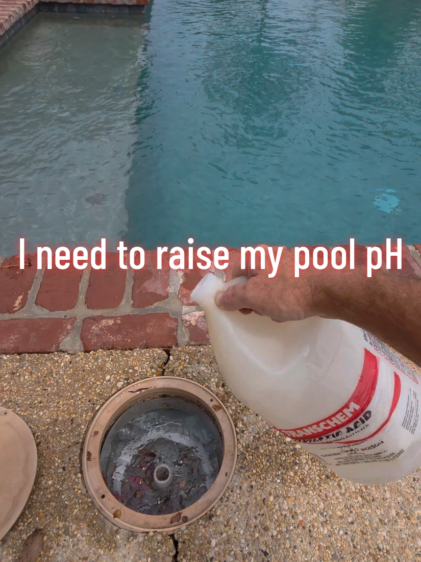 @Rex | BR Pool Pro