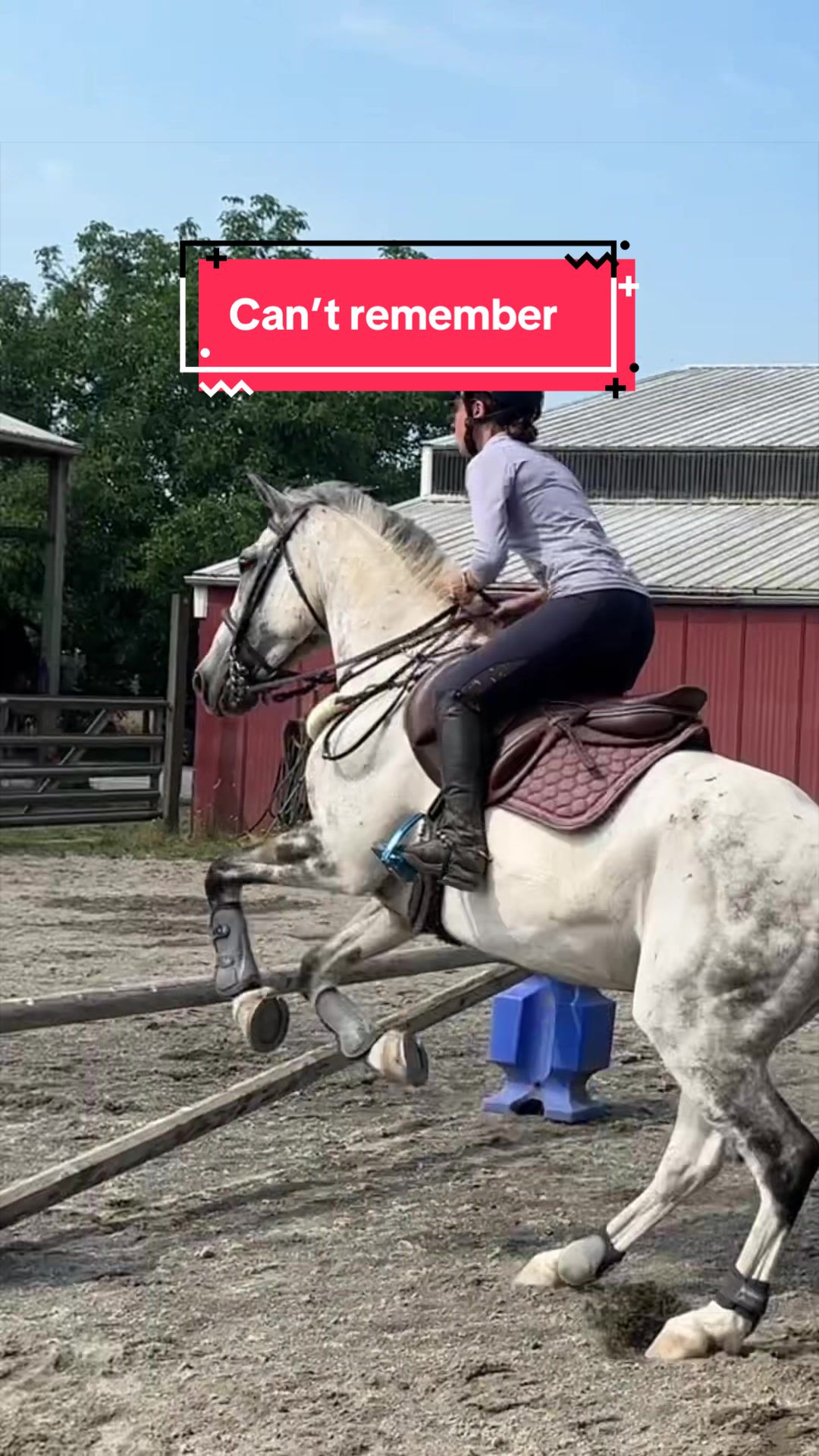 @BlueStarEquestrian