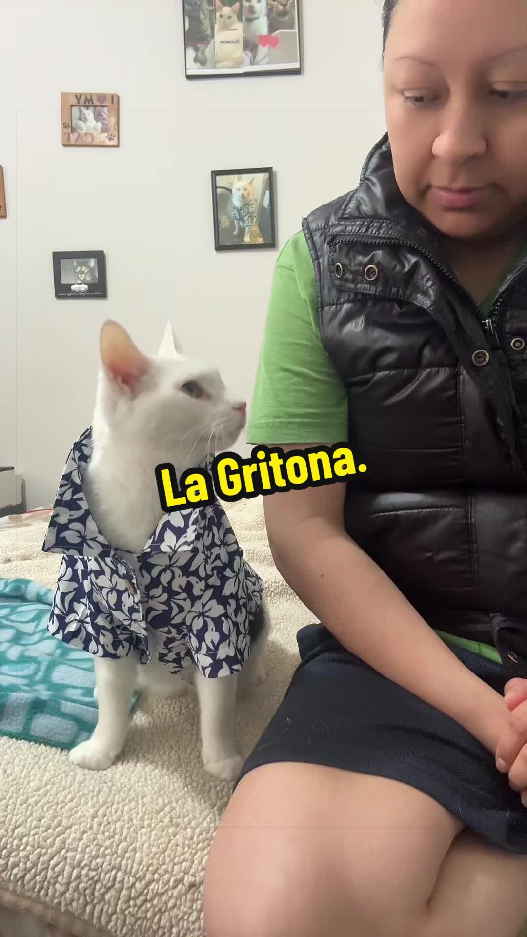 @🦖 MEOWassic CAT😺