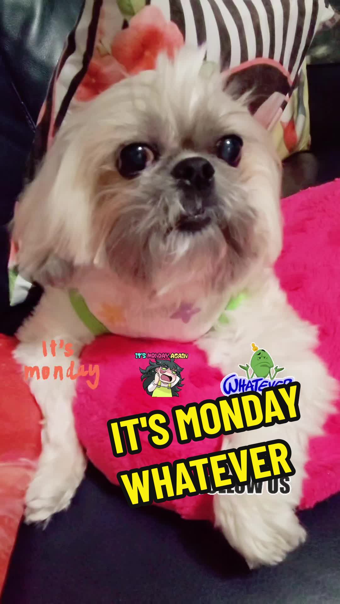 @peeweeandmiley