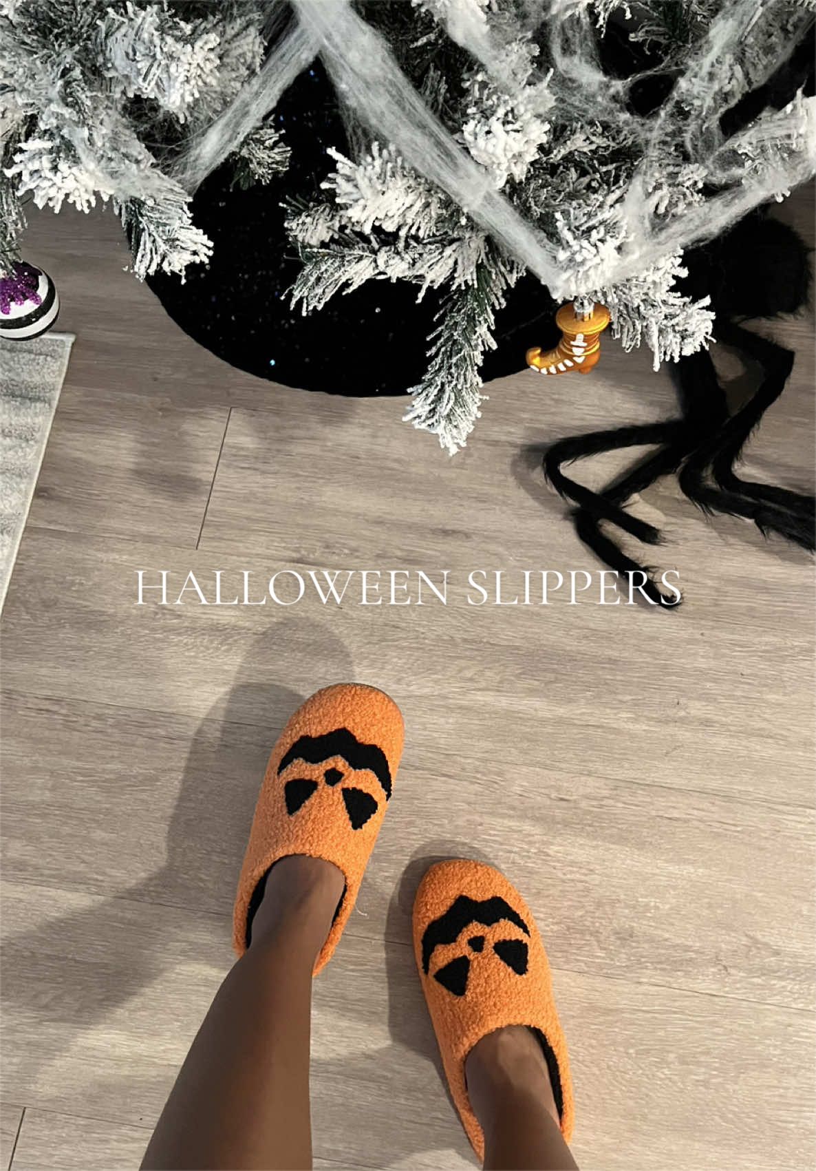 @ci | tiktok shop finds 🌷
