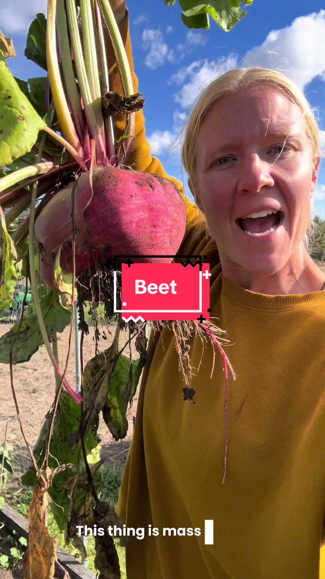 @littlesandycreekfarm