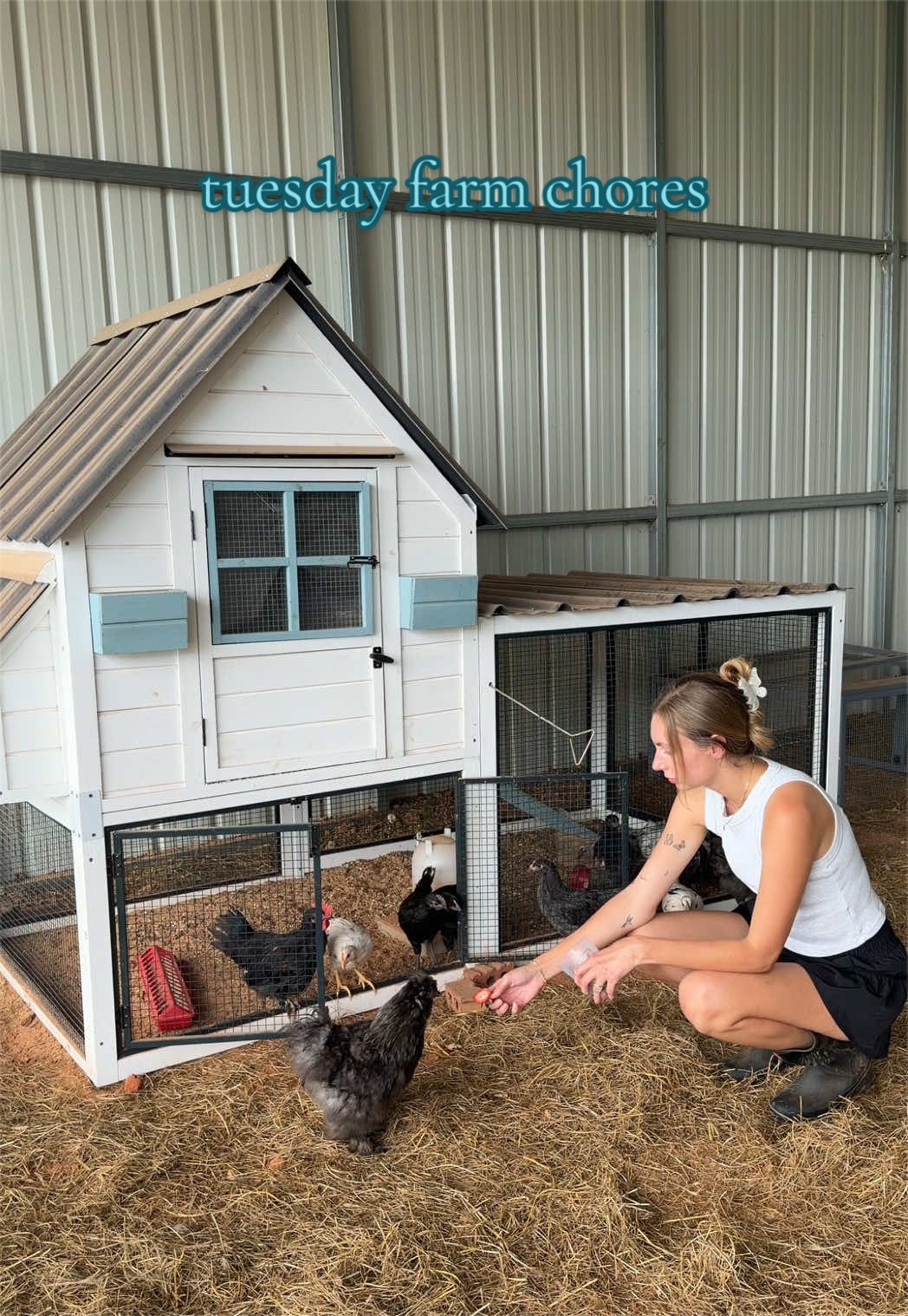 @meg’s mini farm