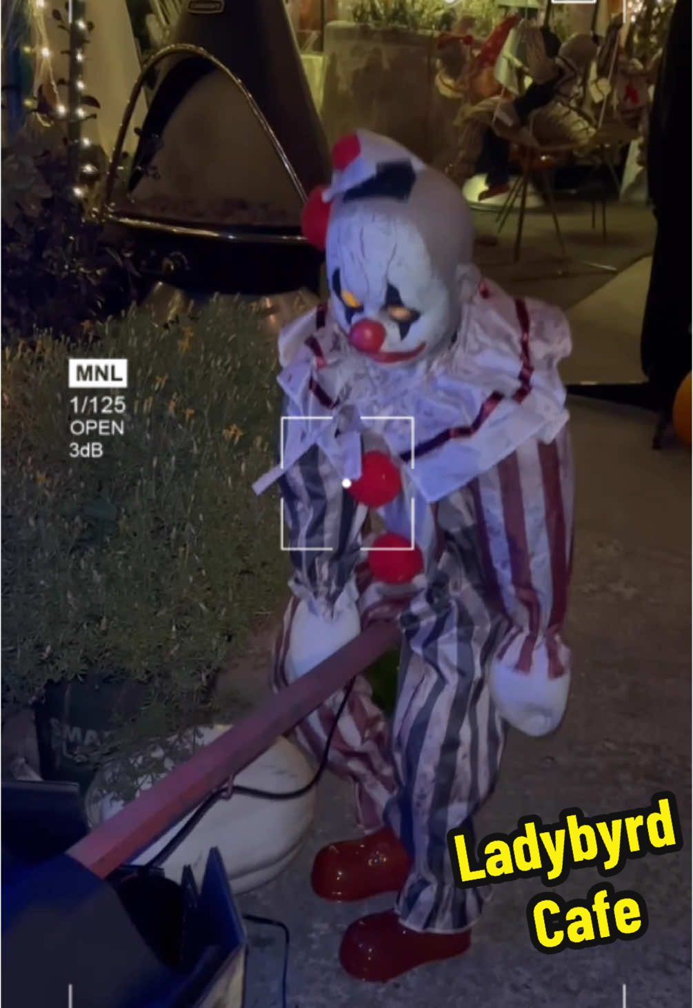 @wordofmouthla