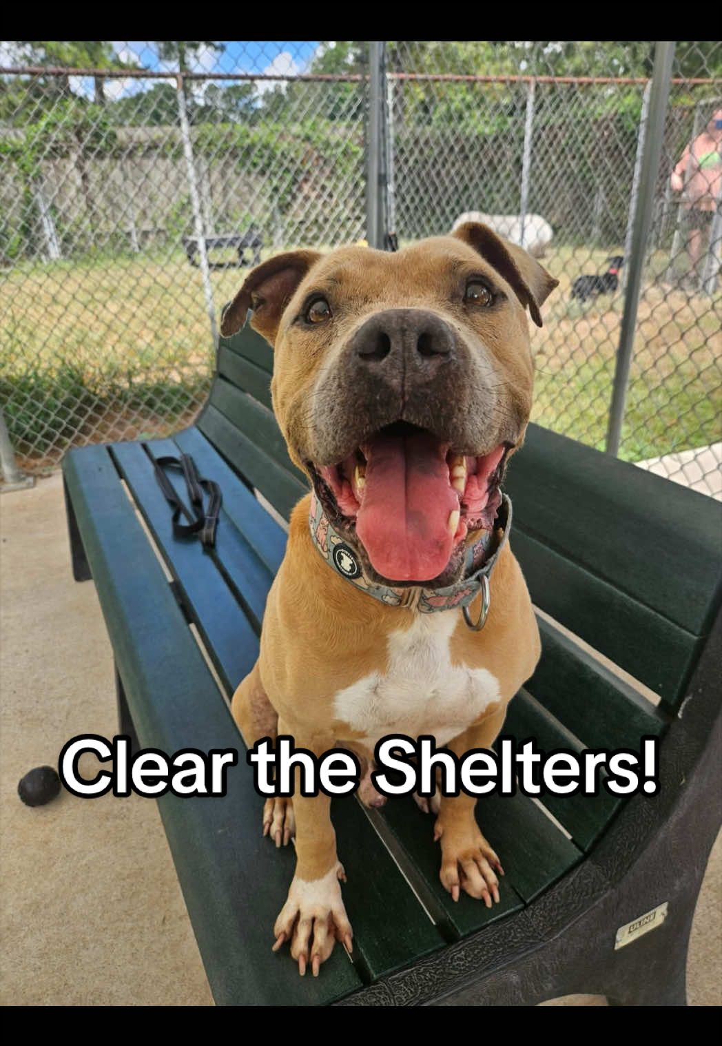 @Corridor Rescue Inc.