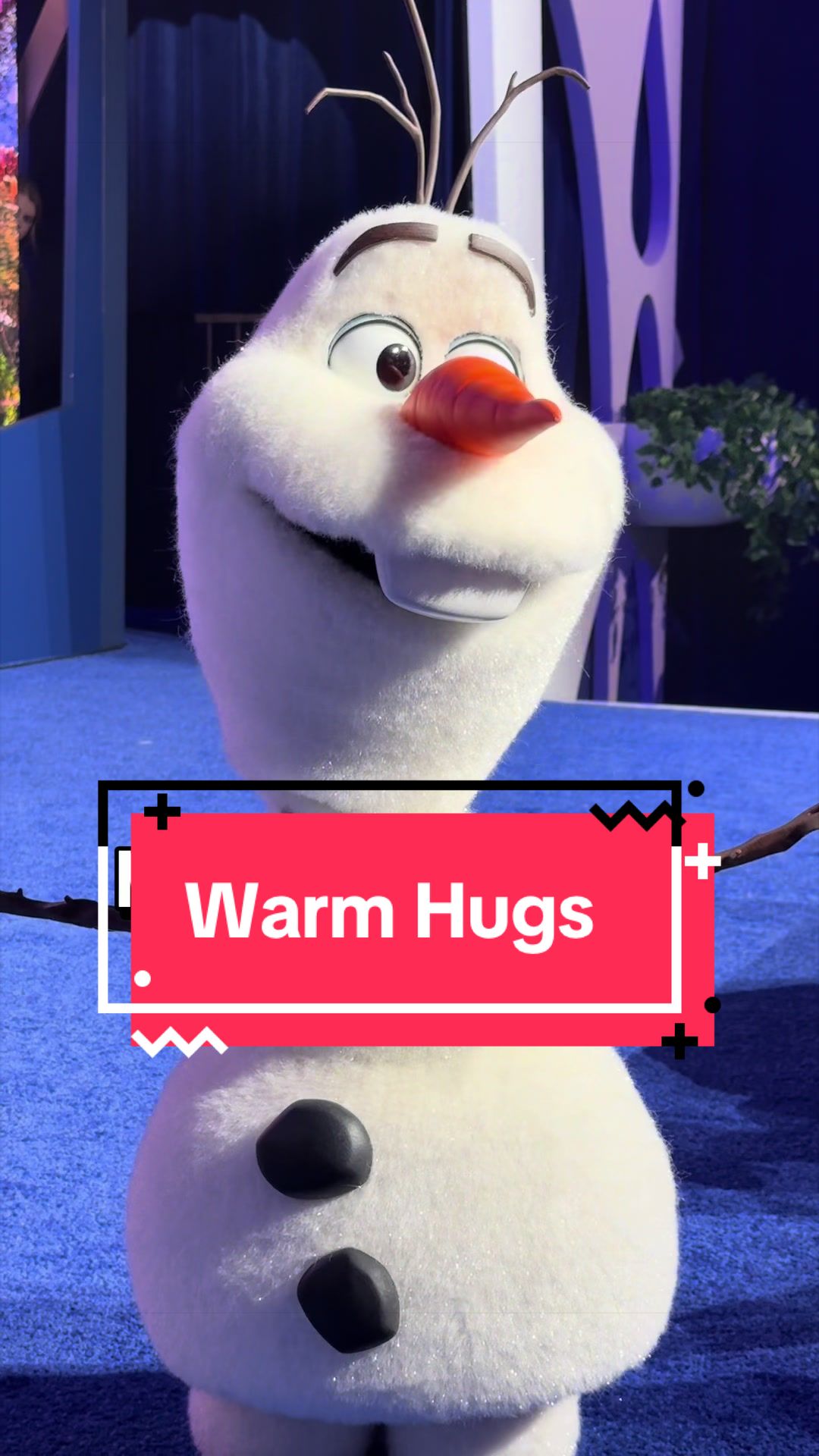 @Sarah Tickner