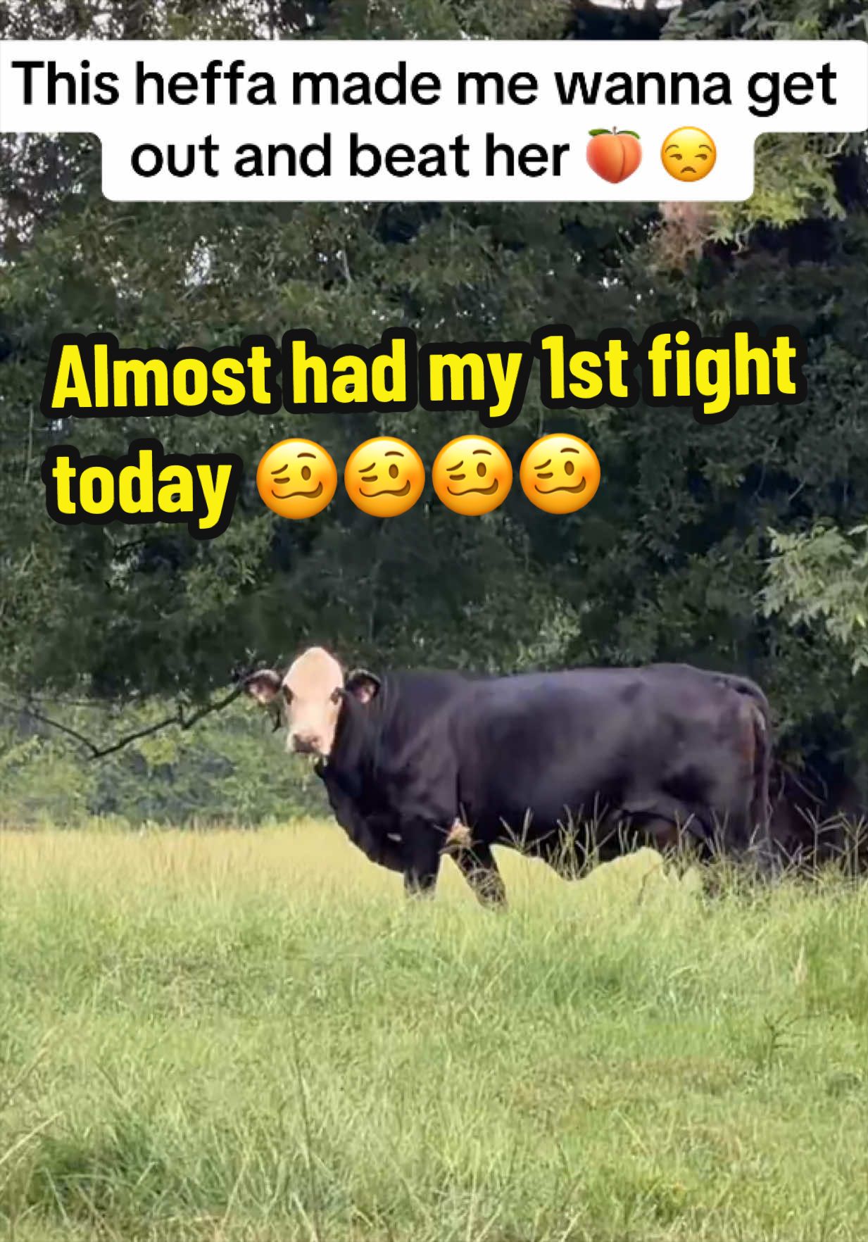 @bossdvincii
