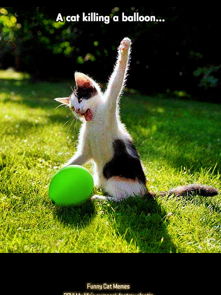 @MOTHEROFCATZ777
