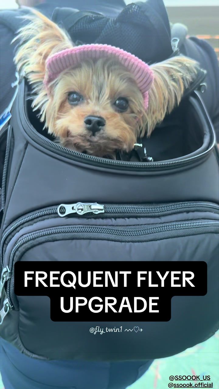 @Flytwin1