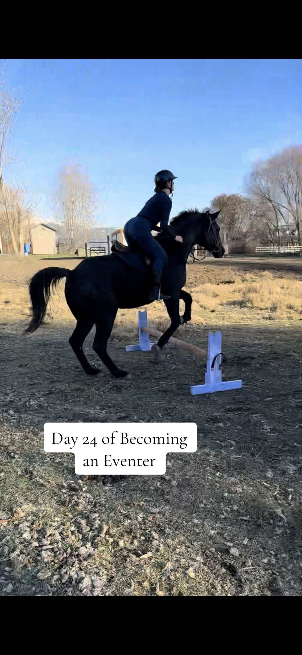 @addie | horse girl