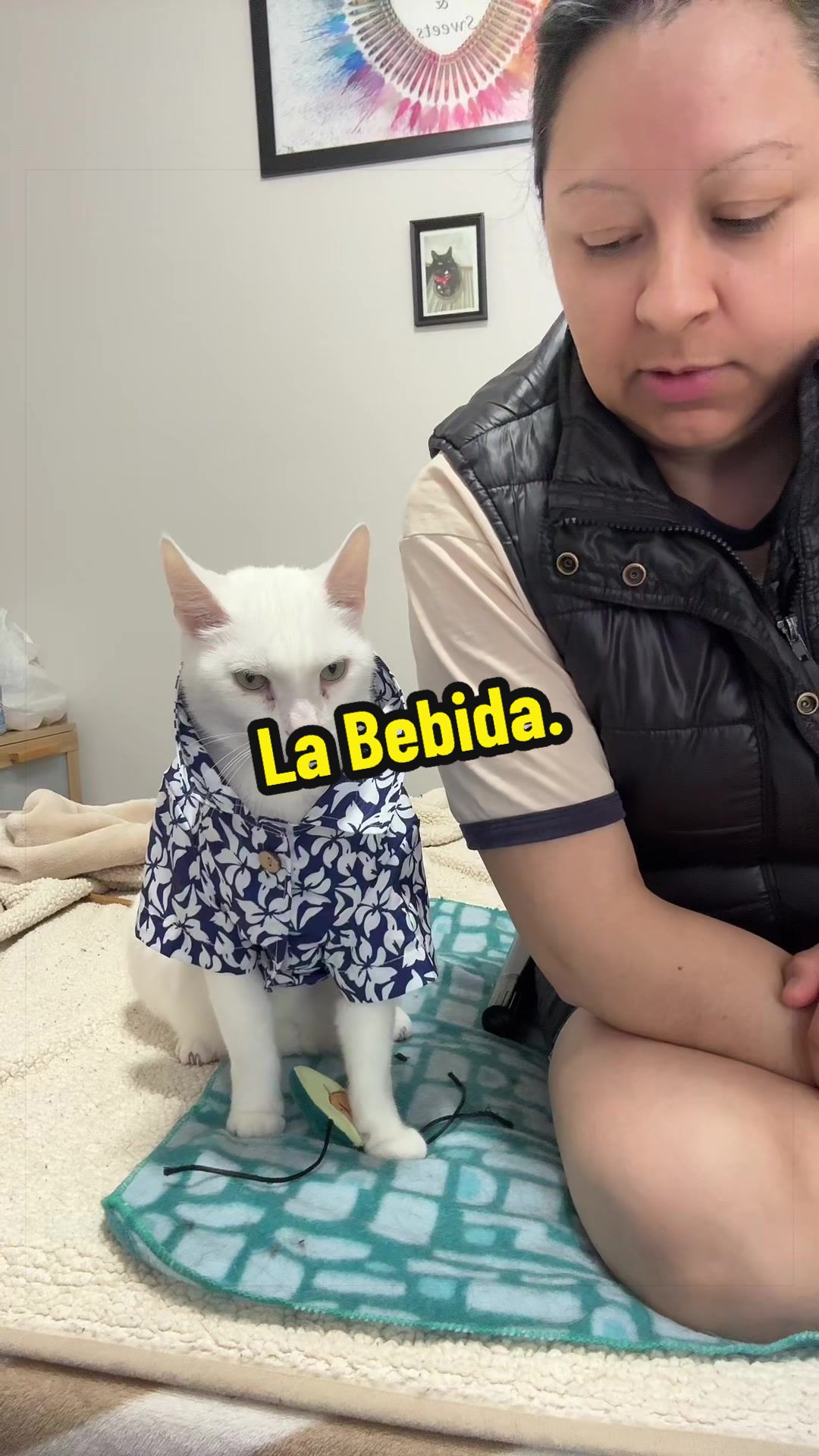 @🦖 MEOWassic CAT😺