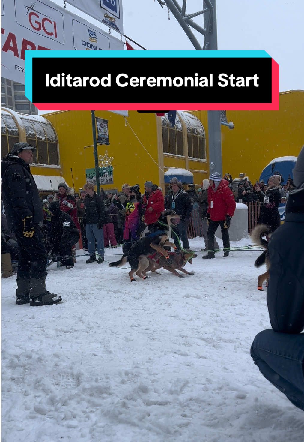 @Glacier Musher
