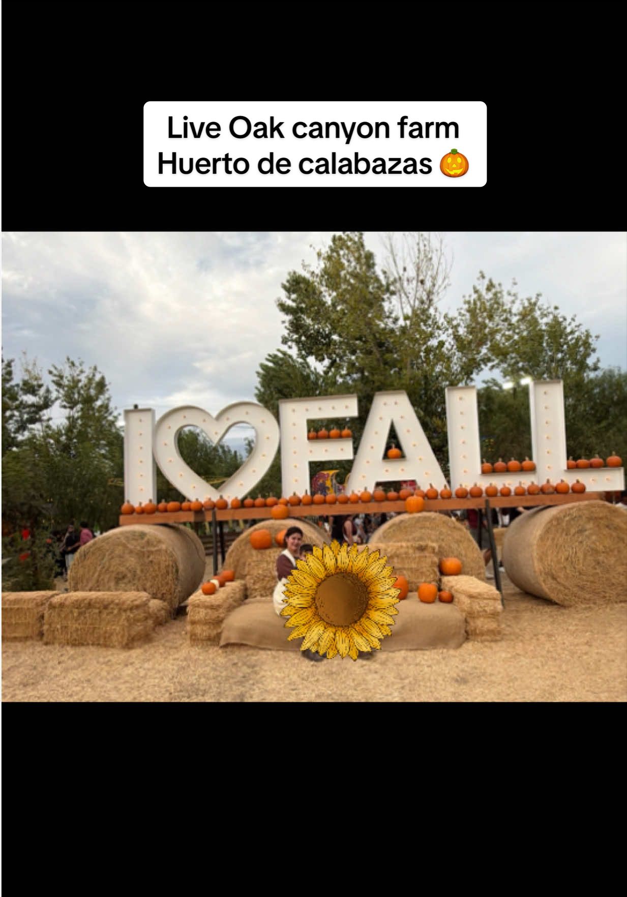 @La Baby🌸🐦🔥🇳🇮