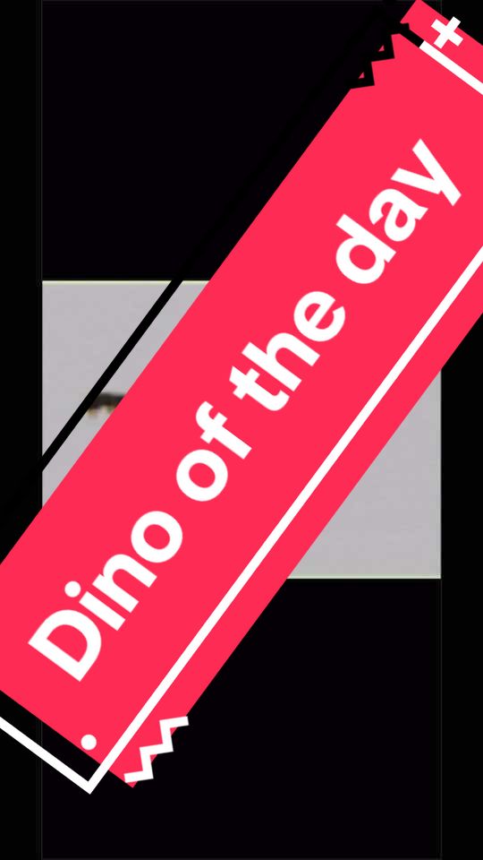 @Dino Of The Day