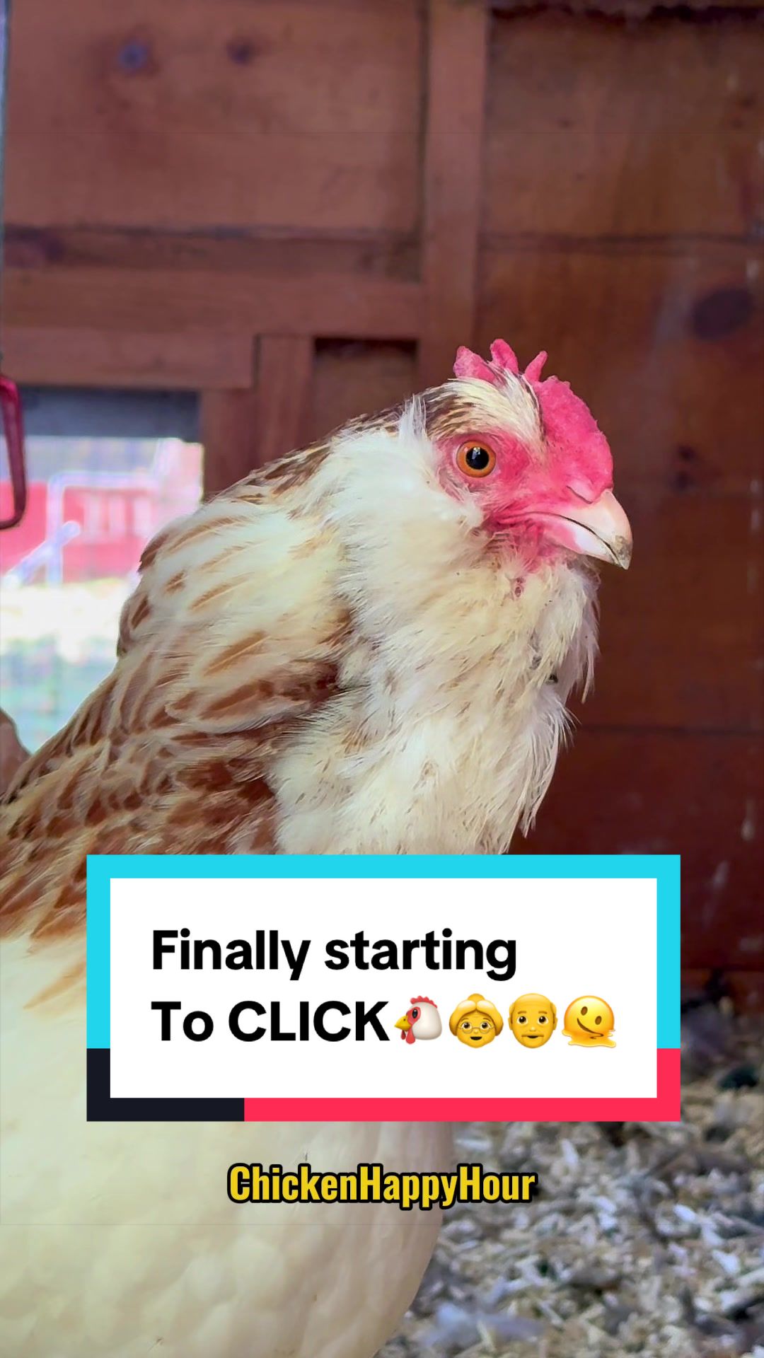 @Chicken Happy Hour