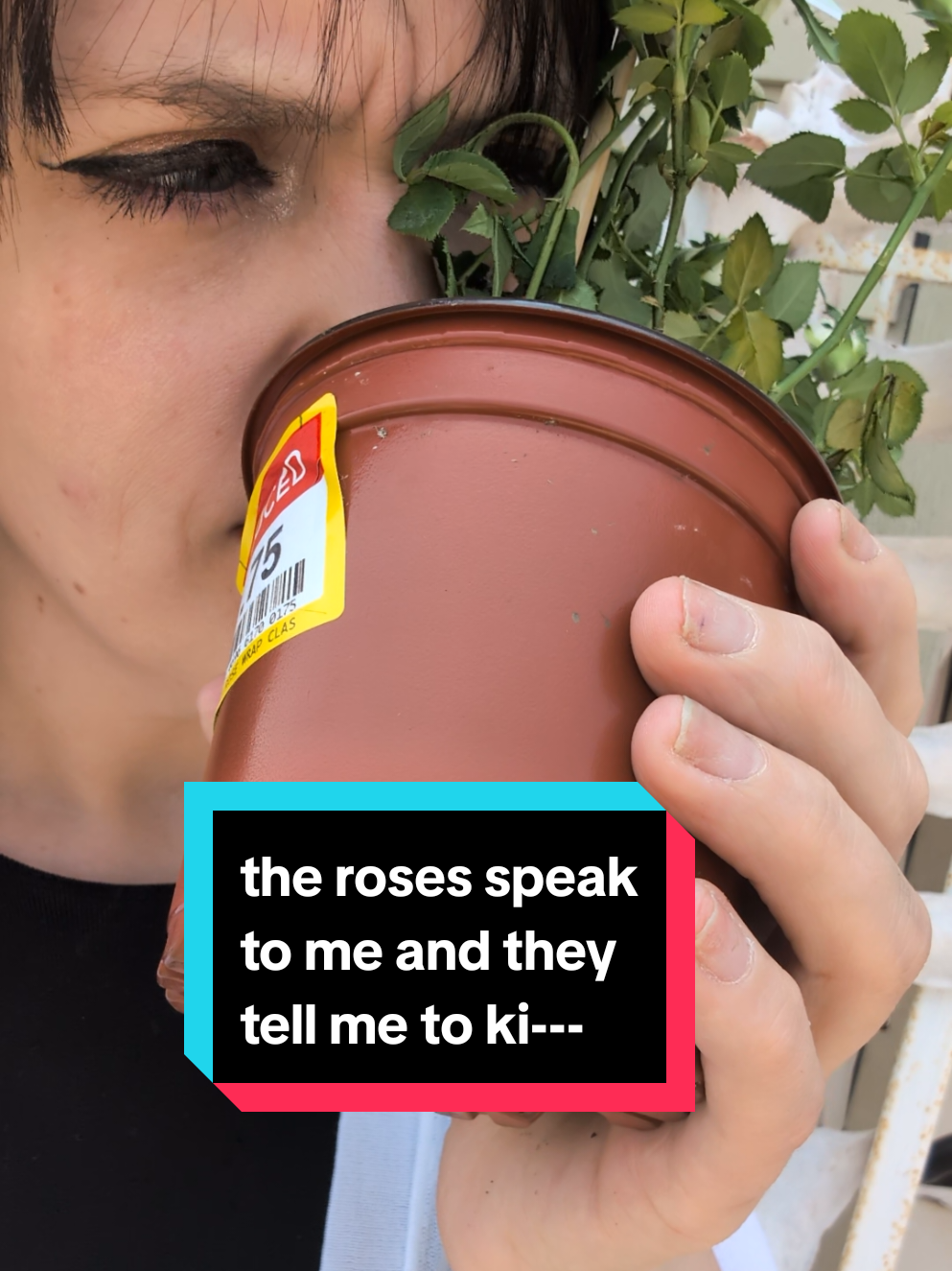 @Grim and Jack