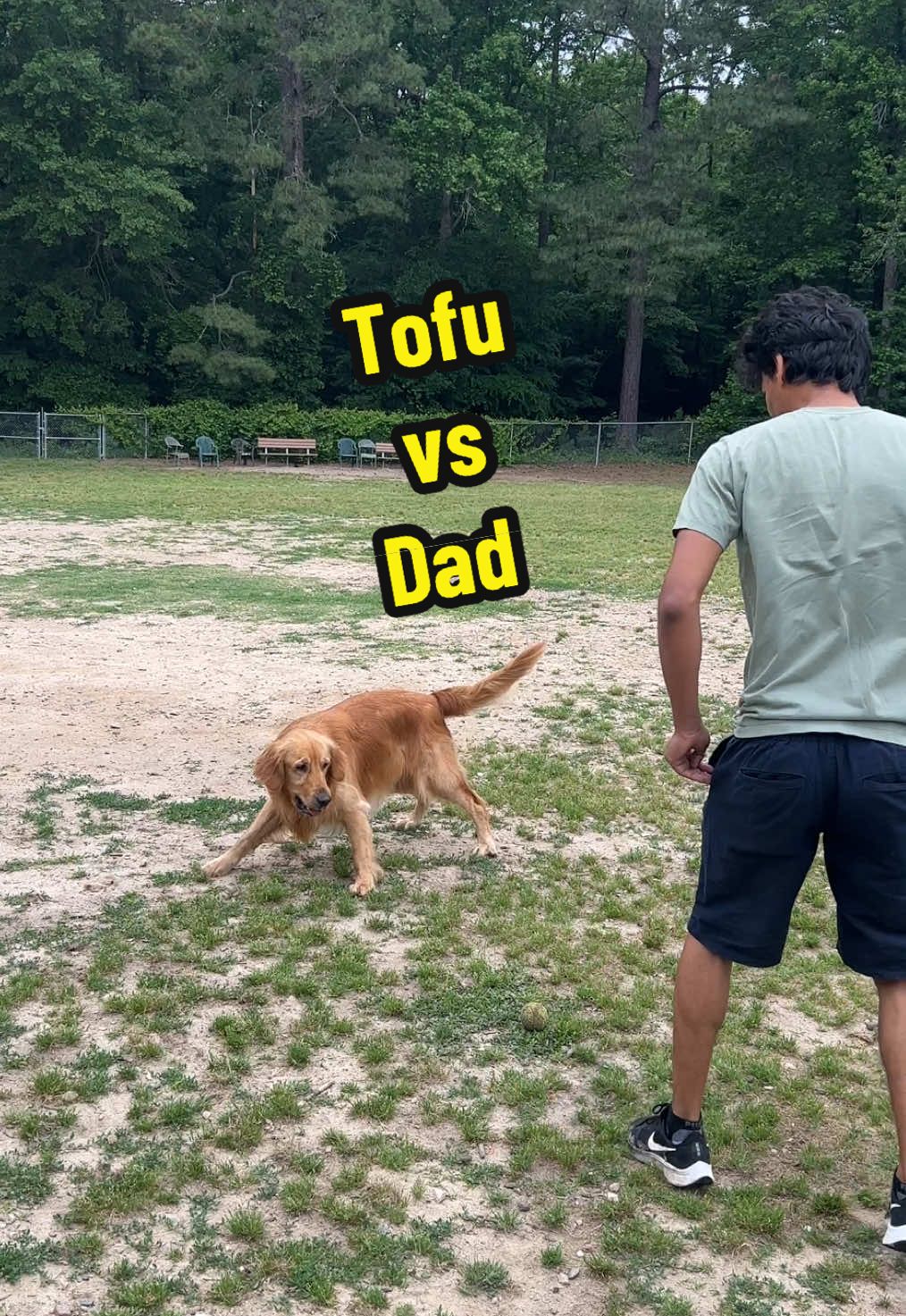 @goldenboytofu