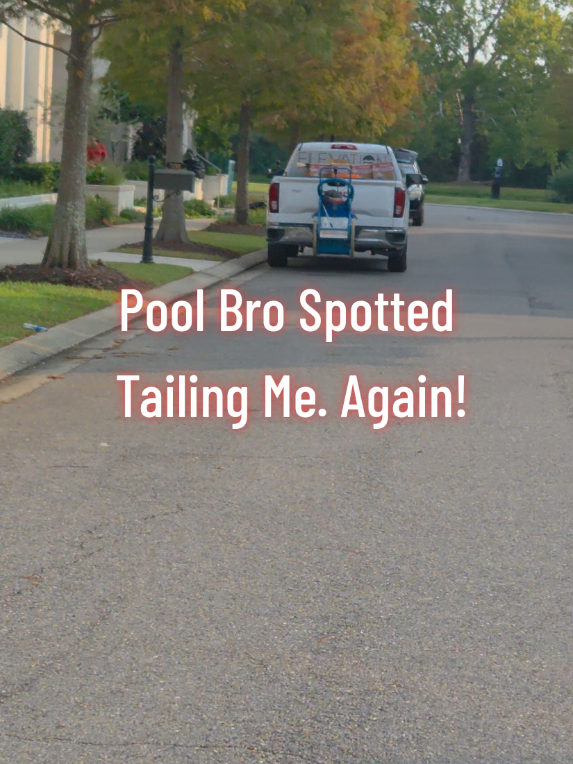 @Rex | BR Pool Pro