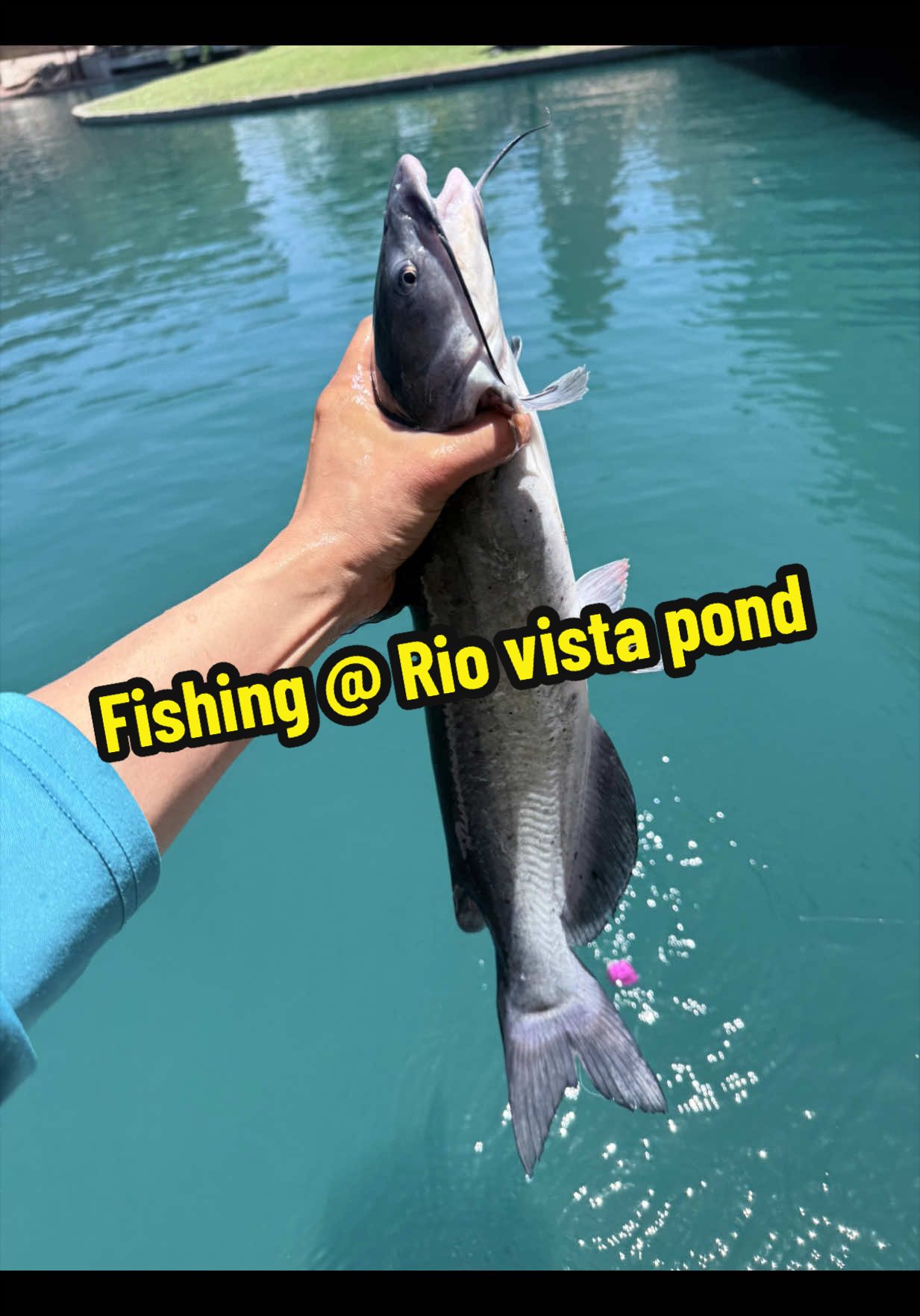 @Luu Nguyen Fishing