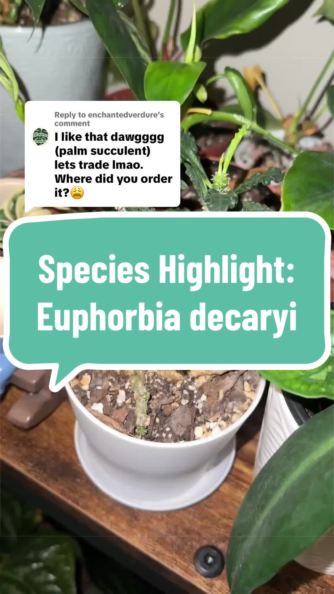 @🌱yler✨Beatty&rsquo;s Botanics