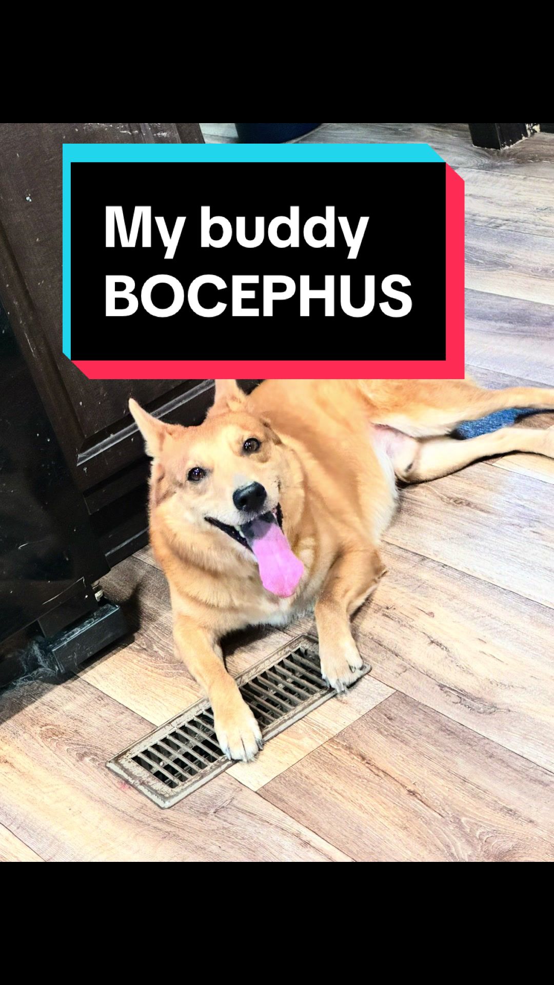 @theHVACmann