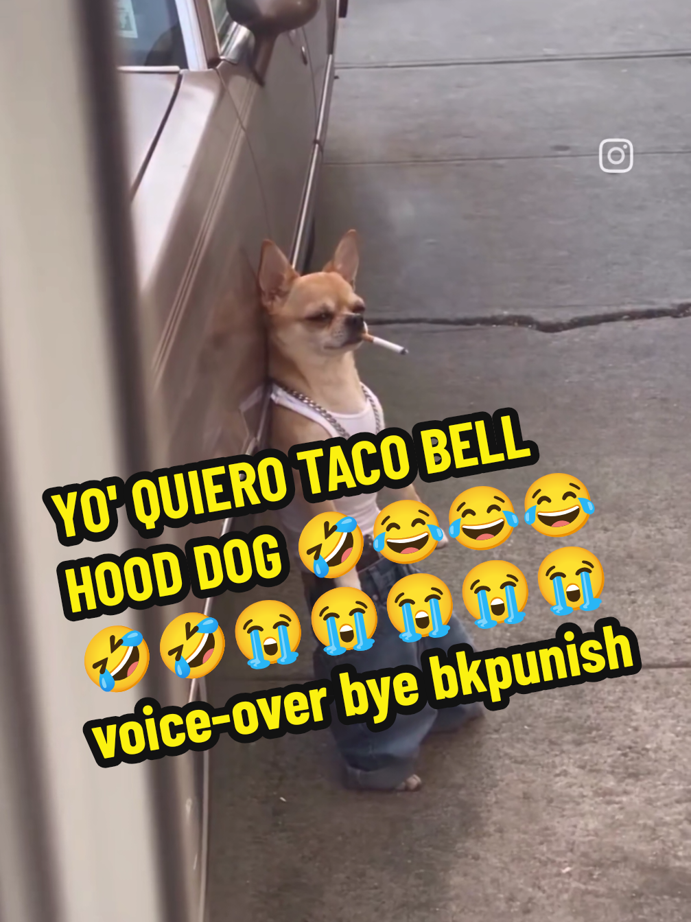 @TIKTOKPUNISH