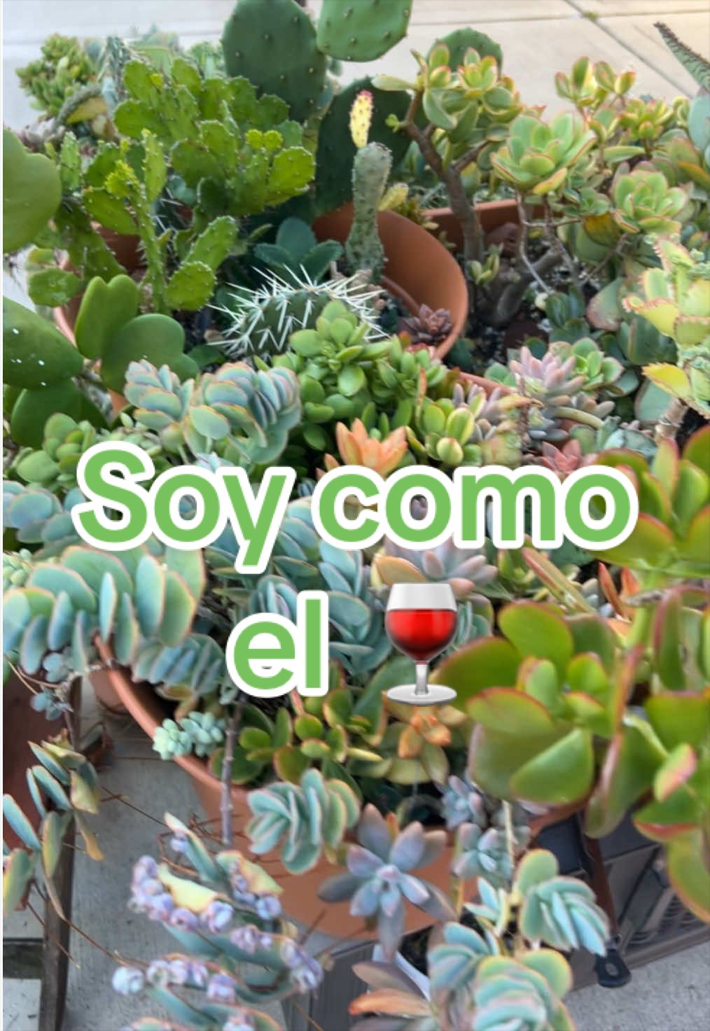 @simplemente yo