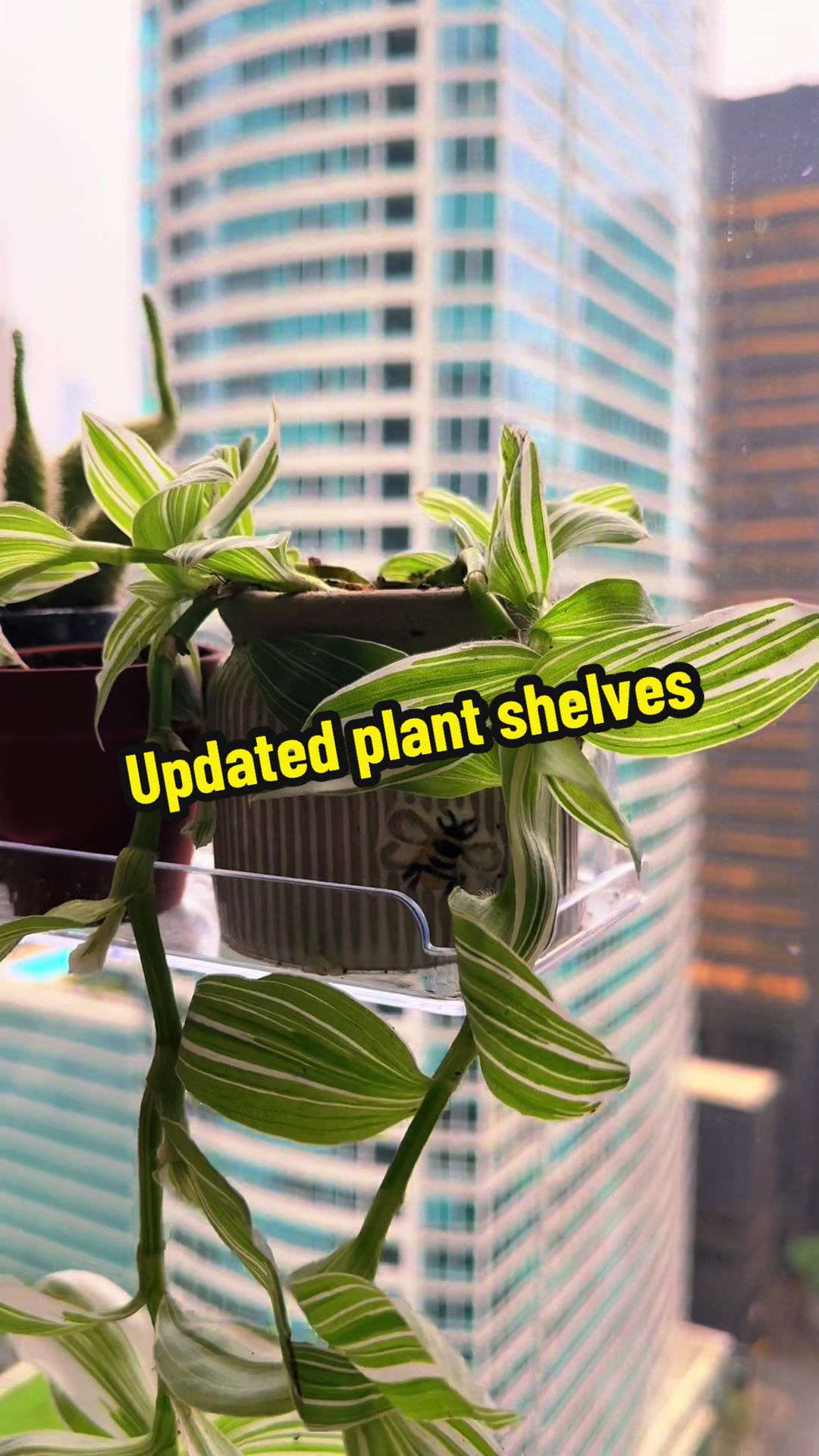 @Plant Girly 🪴