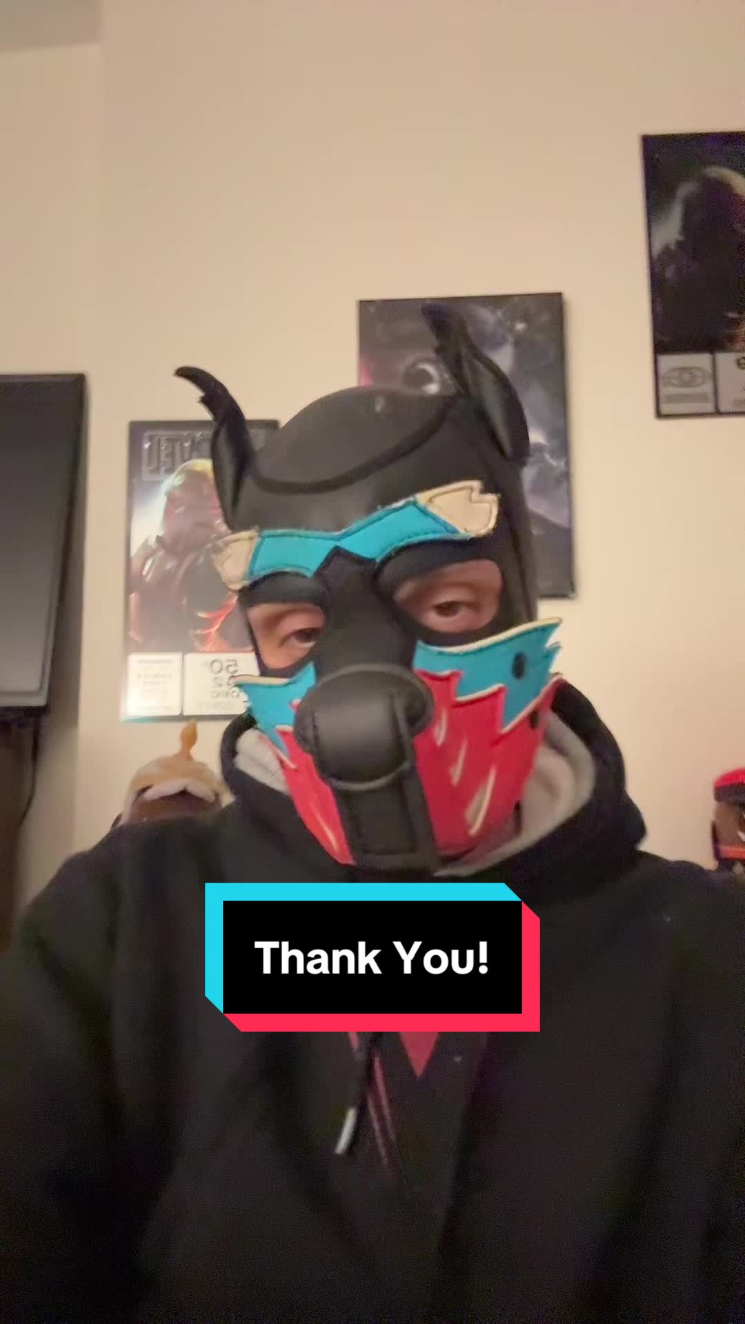 @Pup Sora