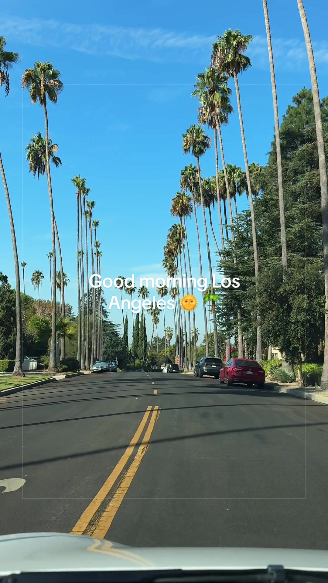 @Erfan | Epic America