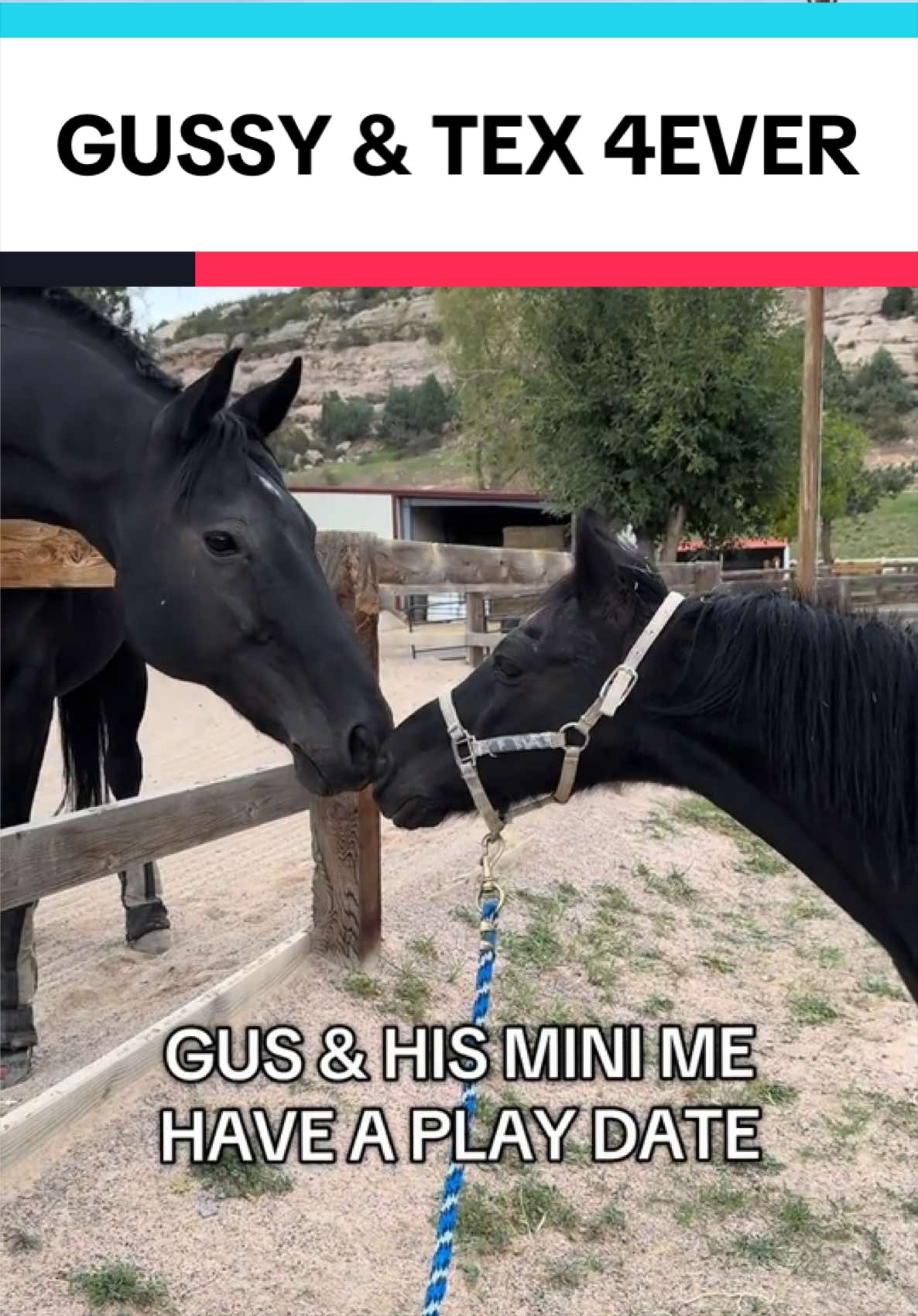 @Mandy & Gusadoo
