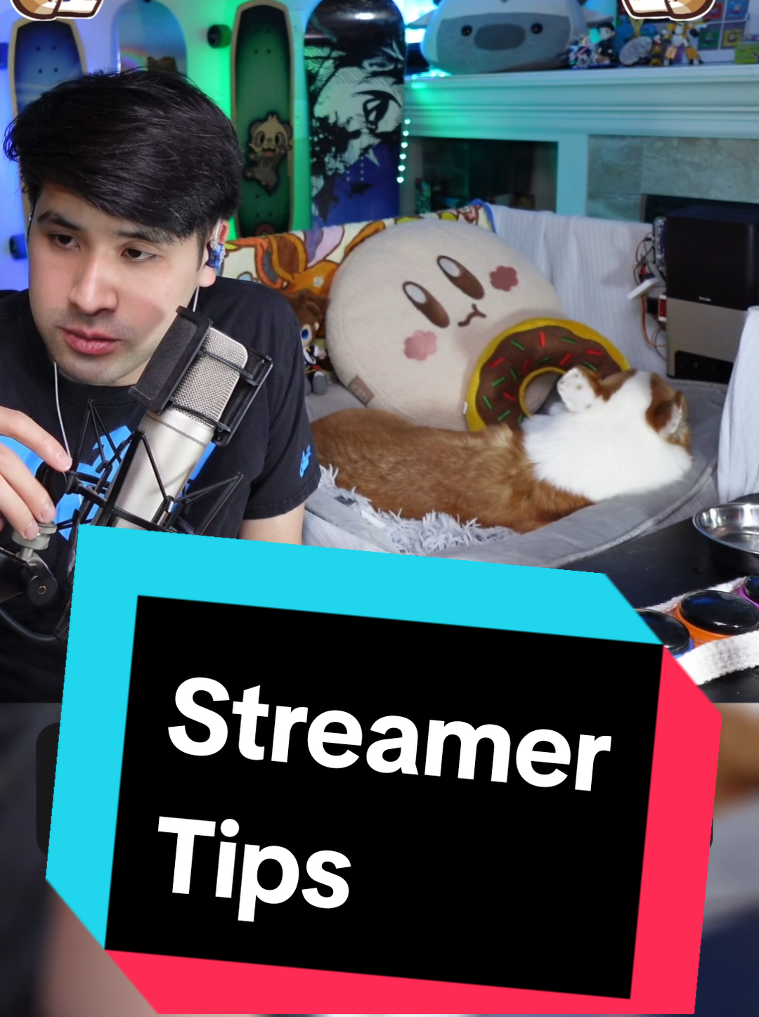 @Protocorg | Twitch Streamer