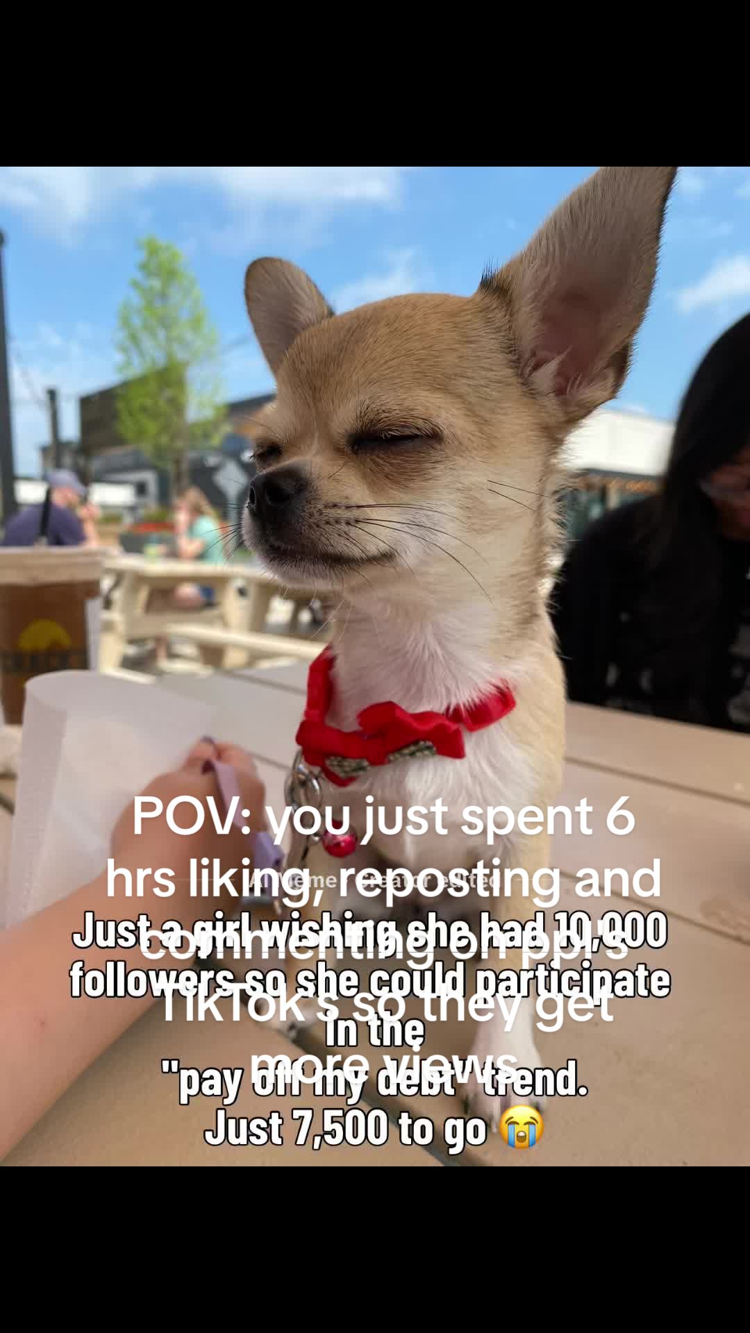 @MimiKyu