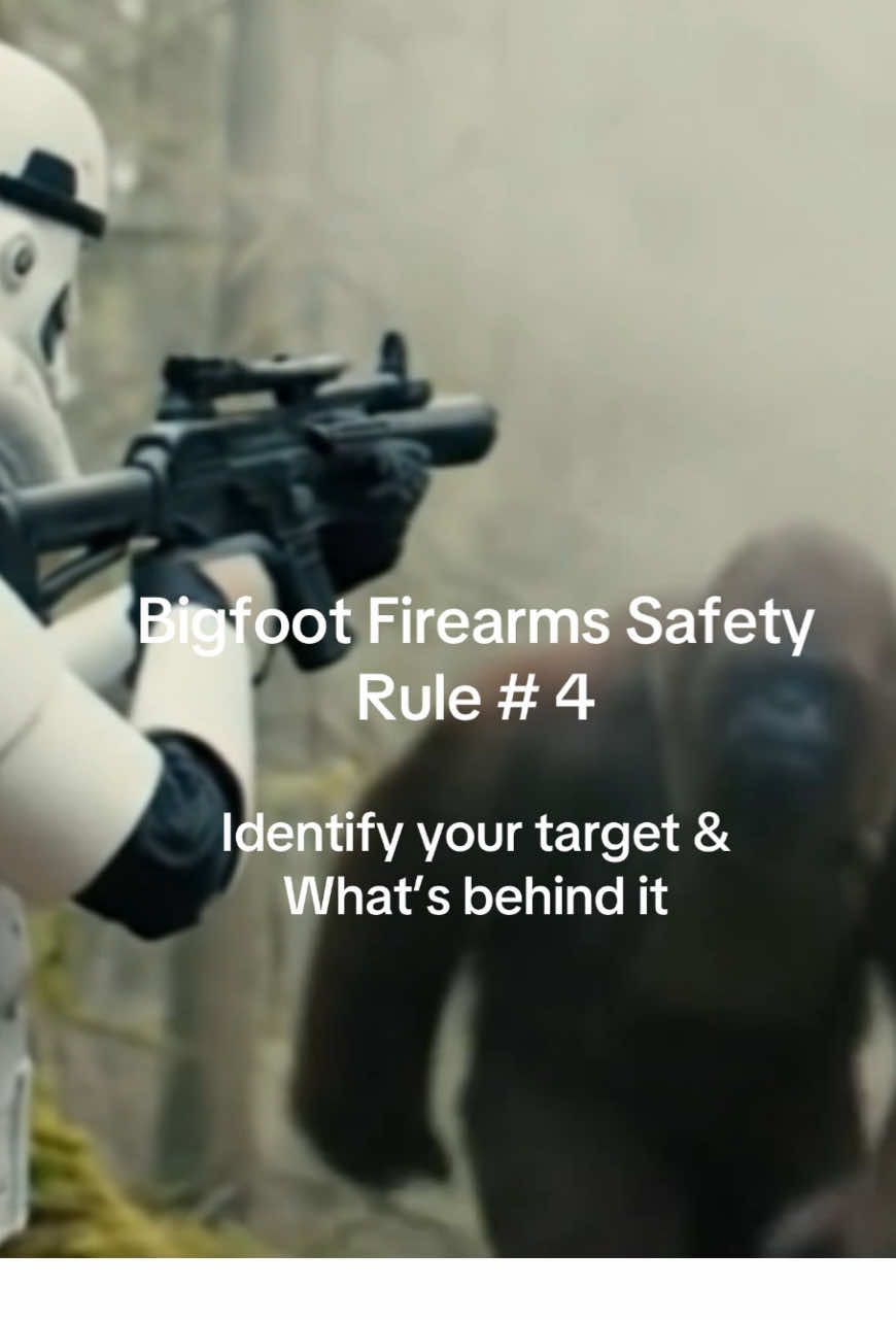 @WeaponTrainer